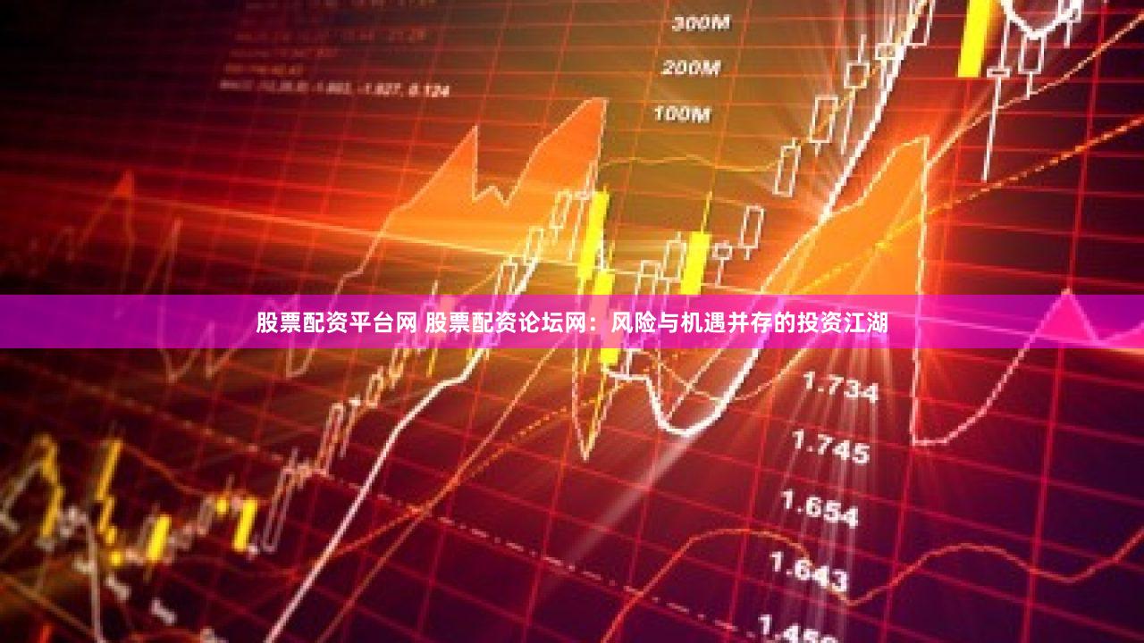 股票配资平台网 股票配资论坛网：风险与机遇并存的投资江湖