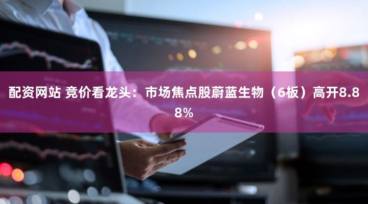 配资网站 竞价看龙头：市场焦点股蔚蓝生物（6板）高开8.88%