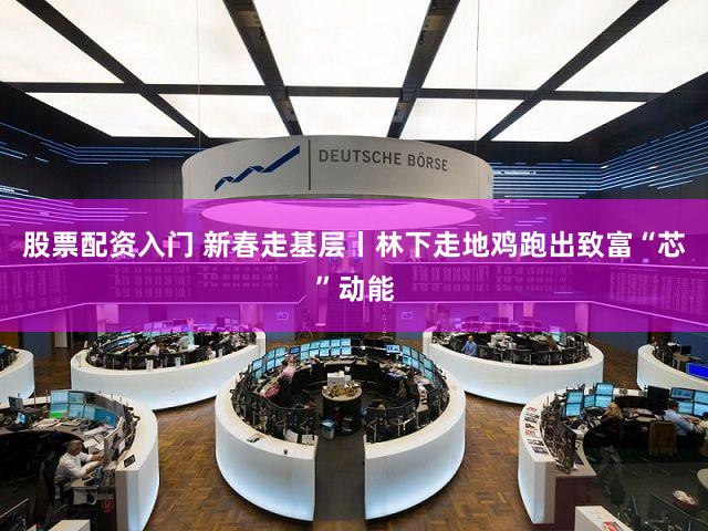 股票配资入门 新春走基层丨林下走地鸡跑出致富“芯”动能