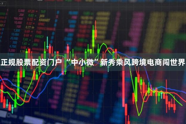 正规股票配资门户 “中小微”新秀乘风跨境电商闯世界