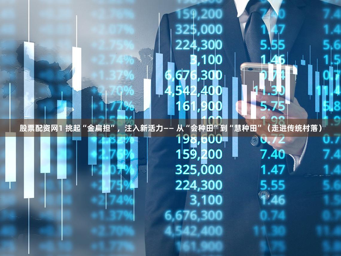 股票配资网1 挑起“金扁担”,注入新活力—— 从“会种田”到“慧种田”(走进传统村落)