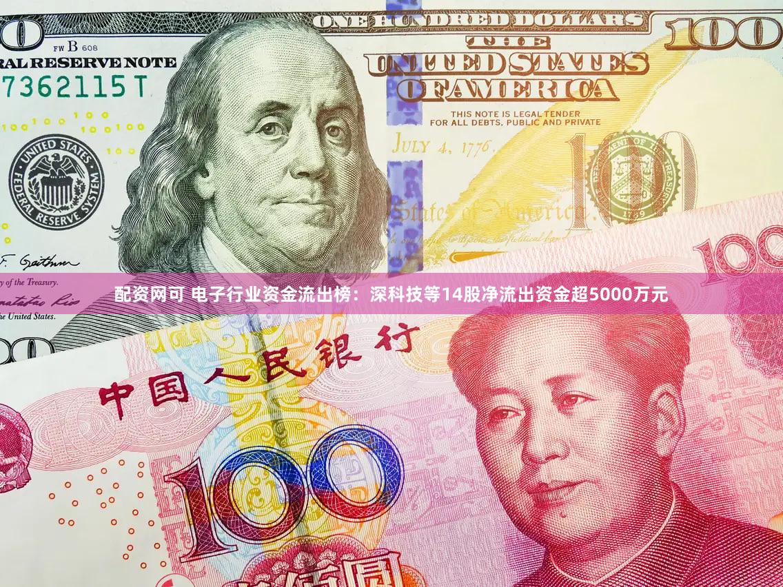 配资网可 电子行业资金流出榜：深科技等14股净流出资金超5000万元