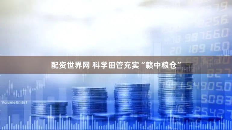 配资世界网 科学田管充实“赣中粮仓”