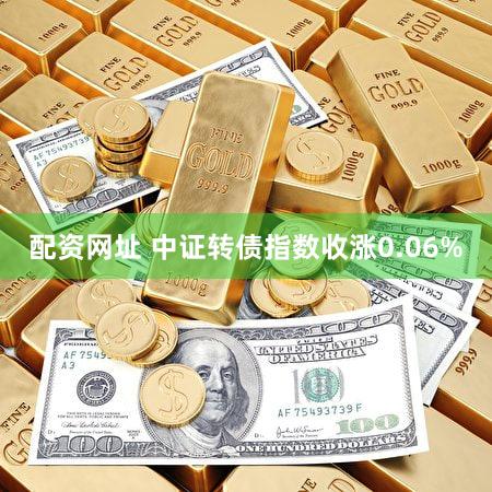 配资网址 中证转债指数收涨0.06%