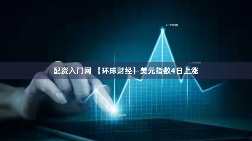 配资入门网 【环球财经】美元指数4日上涨