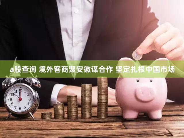 a股查询 境外客商聚安徽谋合作 坚定扎根中国市场