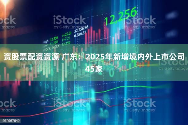 资股票配资资源 广东:2025年新增境内外上市公司45家